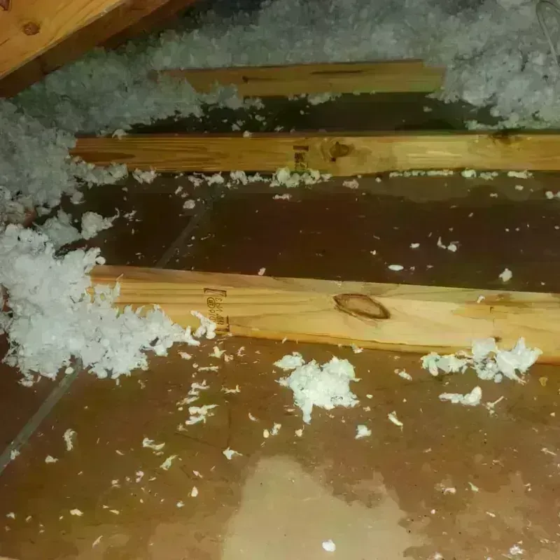 Attic Water Damage in Cameron, LA