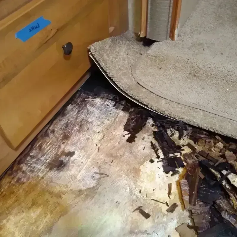 Wood Floor Water Damage in Cameron, LA